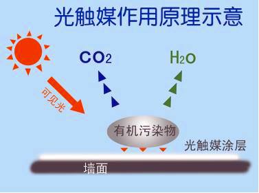 室内装修除甲醛，甲醛治理方法哪些有效果？上海188bet金宝搏·中国官网环保