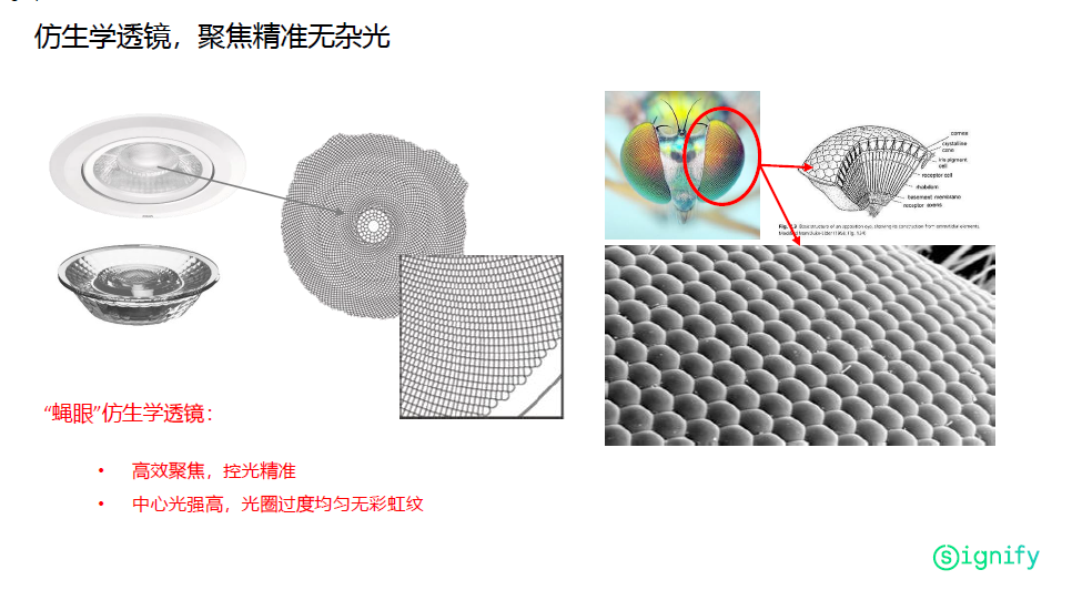 产品名称:飞利浦RS100 射灯 产品名称:飞利浦RS100 射灯