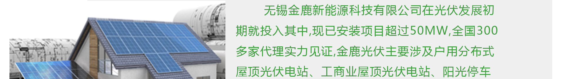 金鹿新能源 光伏组件生产厂家 金鹿新能源 光伏组件生产厂家