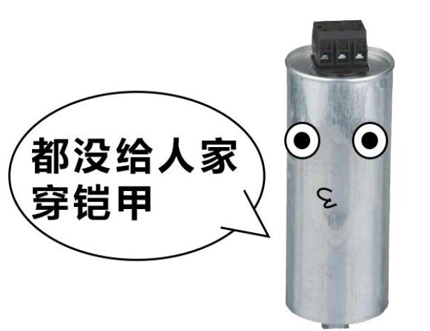 电力电容器 电力电容器