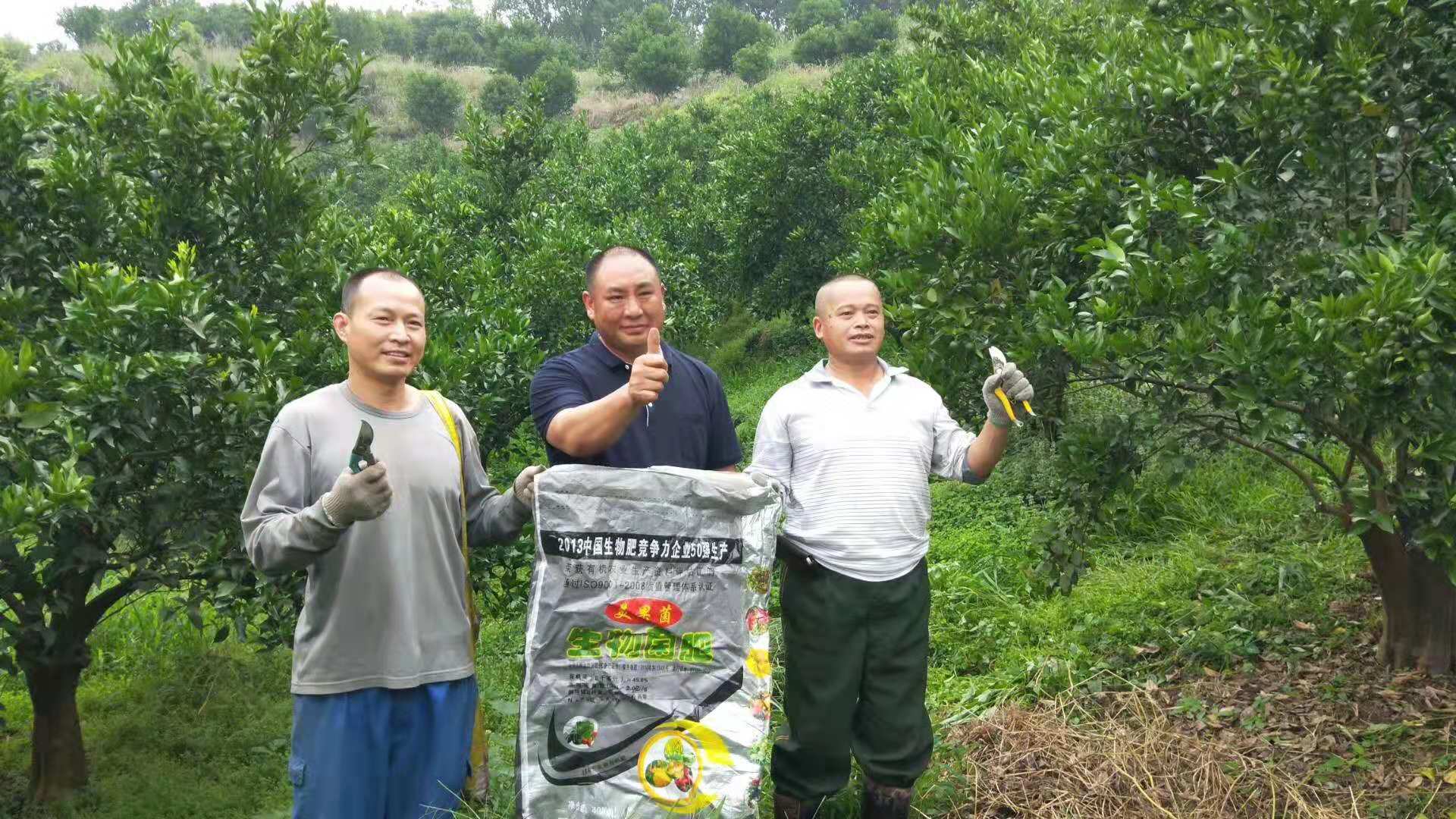 美果菌生物有机肥