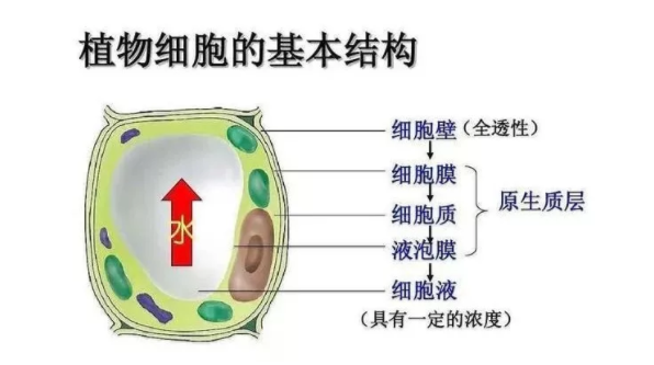 生物有机肥厂家都说腐殖酸很好