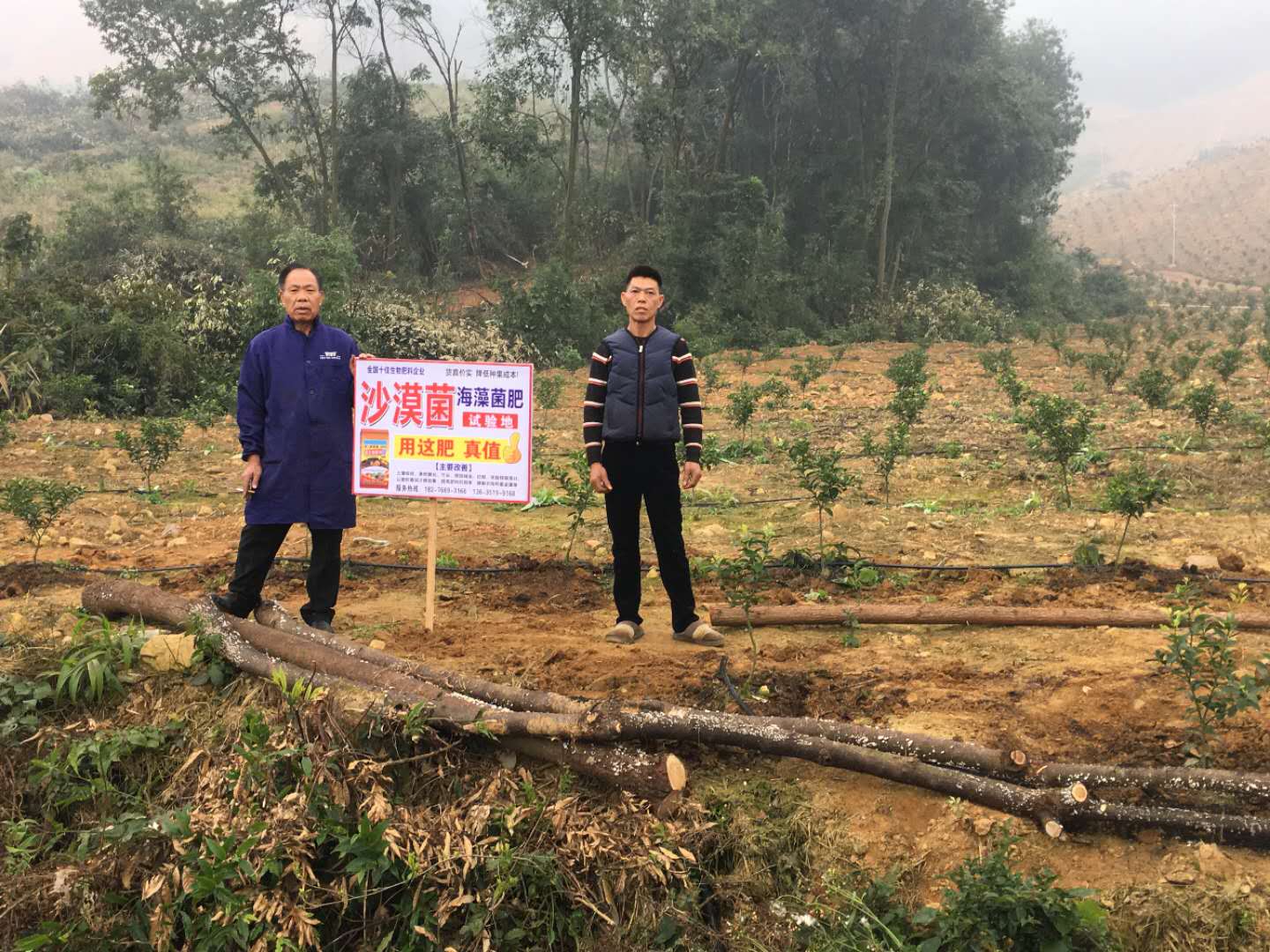 生物有机肥 - 旗舰AG国际 - 广西市场的应用