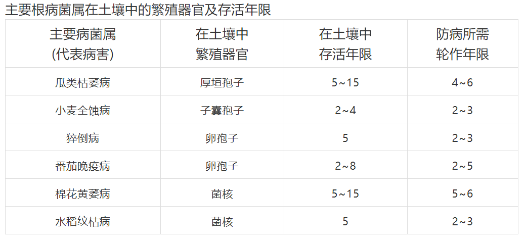 生物有机肥对于土传病害的作用