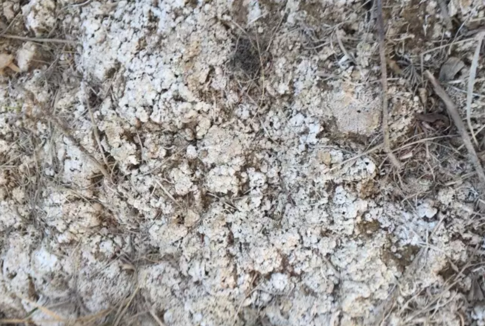 土壤三大癌症，生物有机肥来帮忙