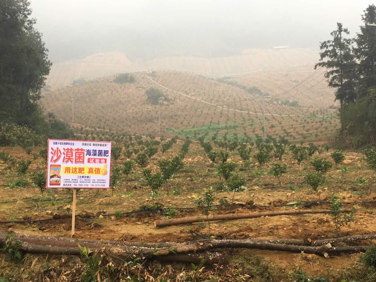 生物有机肥就找成都旗舰AG国际