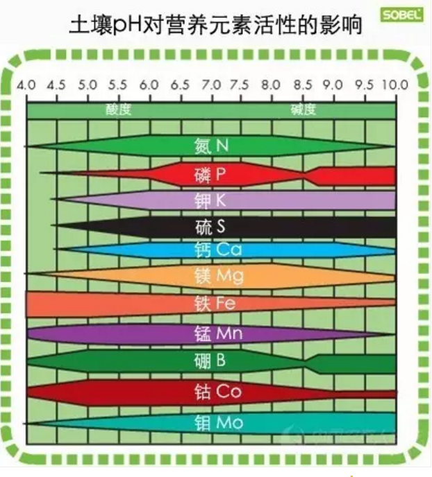 土壤病了多用肥料就会好？生物有机肥