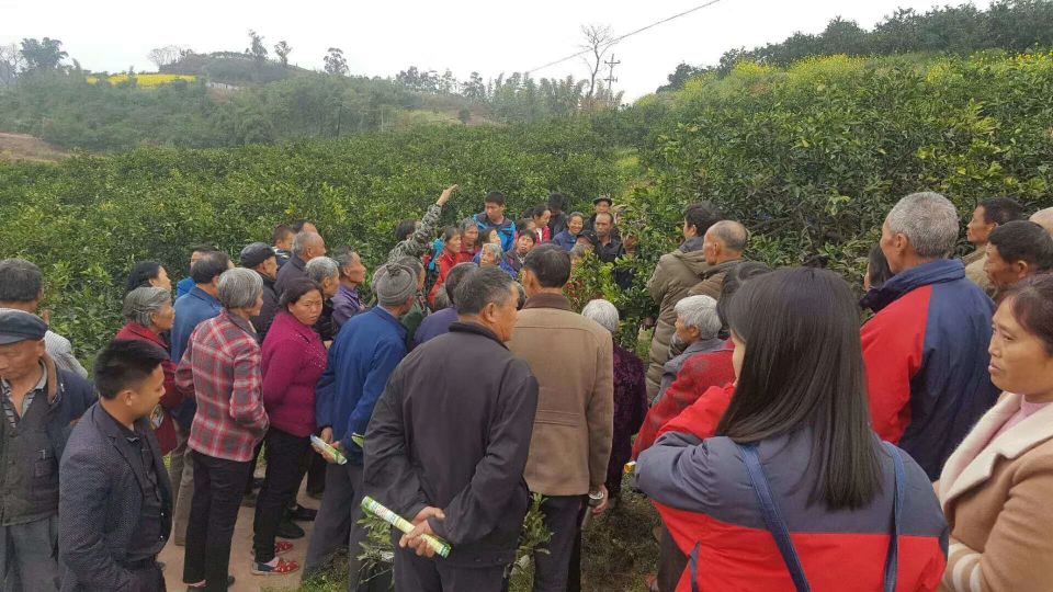 旗舰AG国际销售人员下乡宣传生物有机肥知识