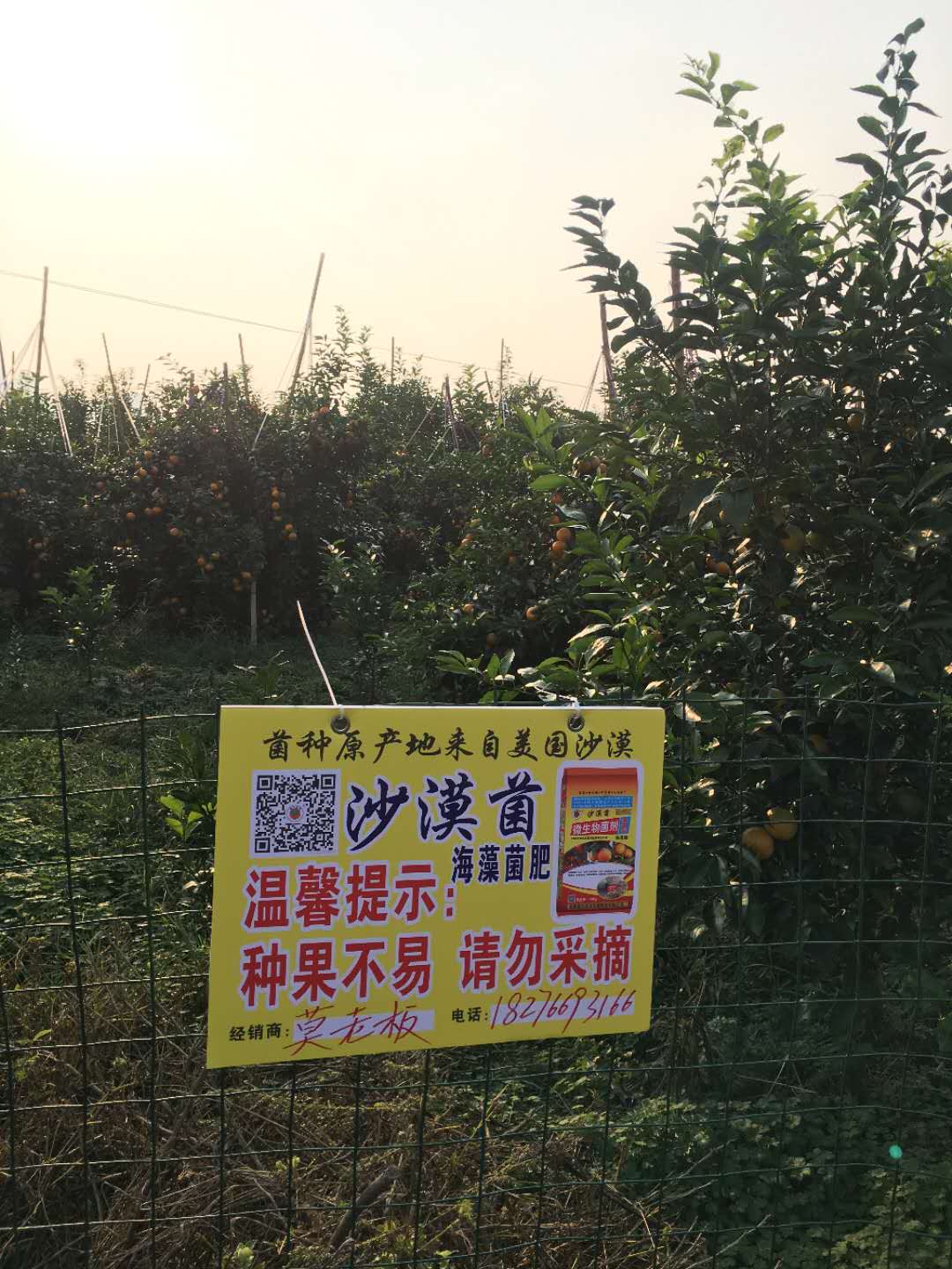 生物有机肥，成都旗舰AG国际