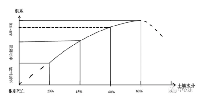 生物有机肥的施用曲线