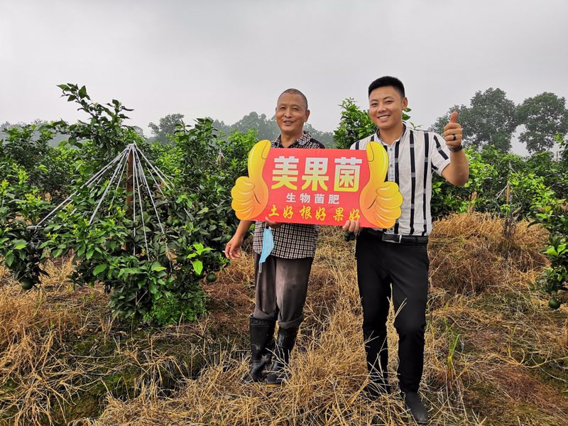 生物有机肥使用效果案例