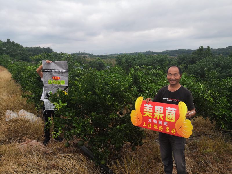 生物有机肥案例展示