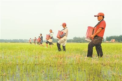 生物有机肥土壤改良6大要素