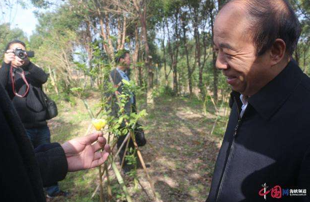 农村农业部支持生物有机肥