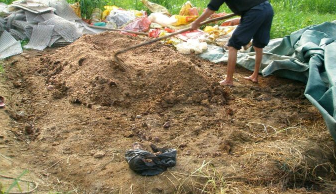 微生物肥料提高果树产量