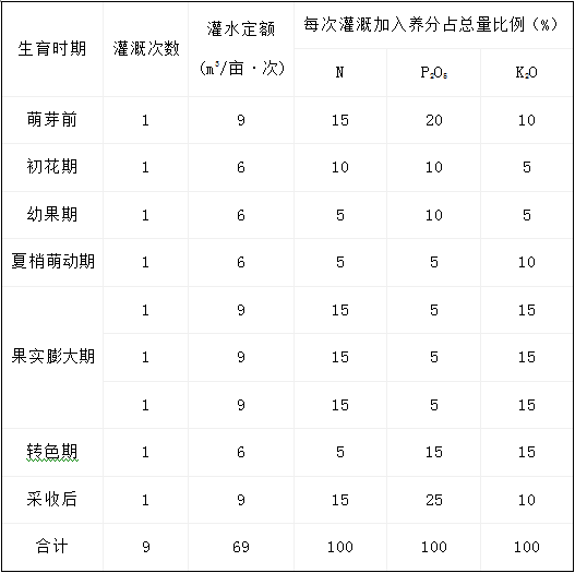 盛果期柑橘树灌溉施肥计划