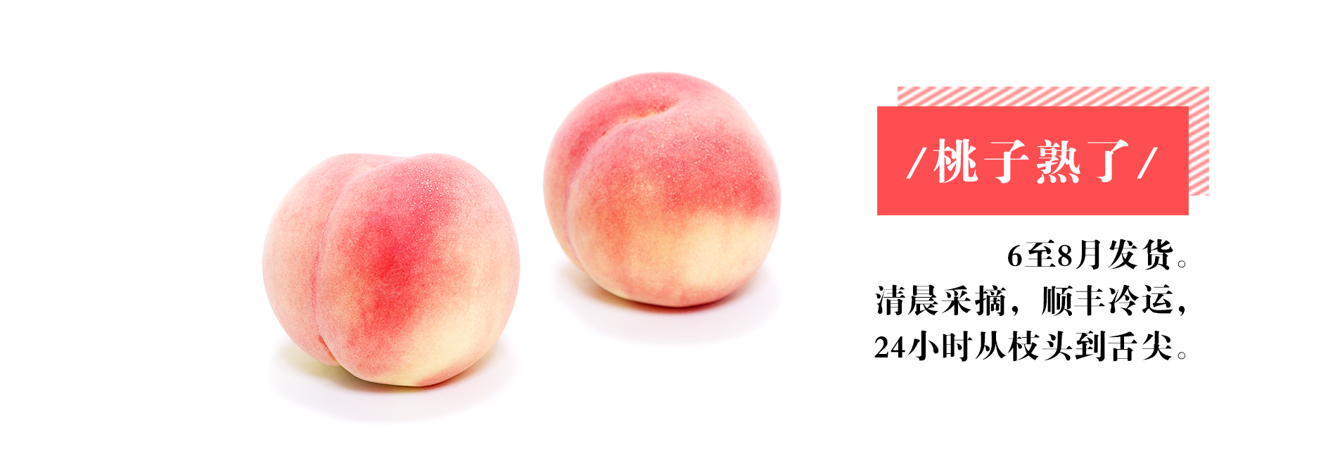 正宗阳山水蜜桃