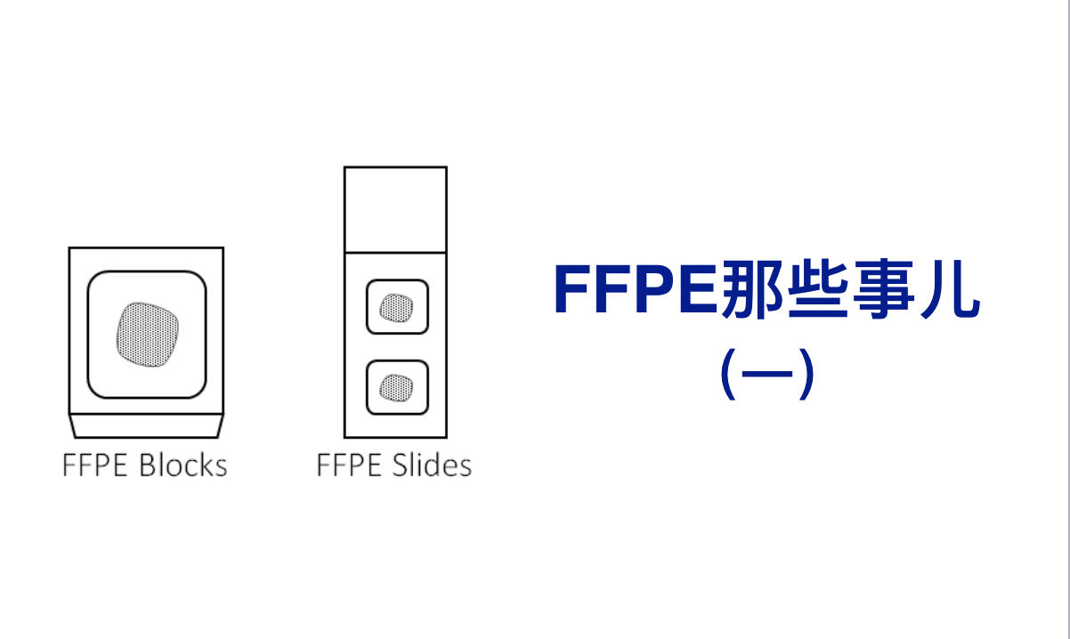FFPE那些事儿(一)