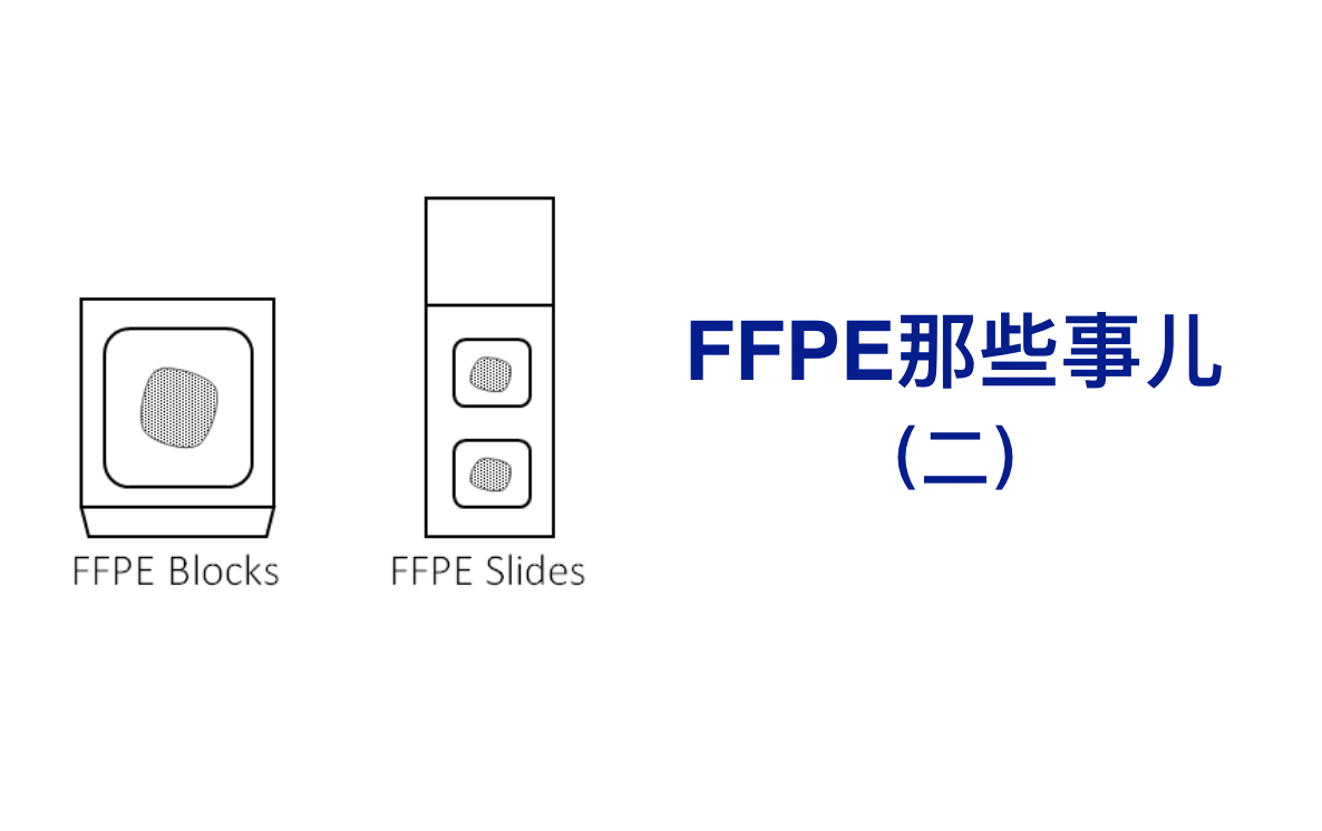 FFPE那些事儿(二)