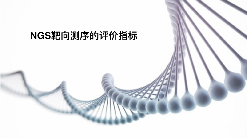 NGS靶向测序的评价指标