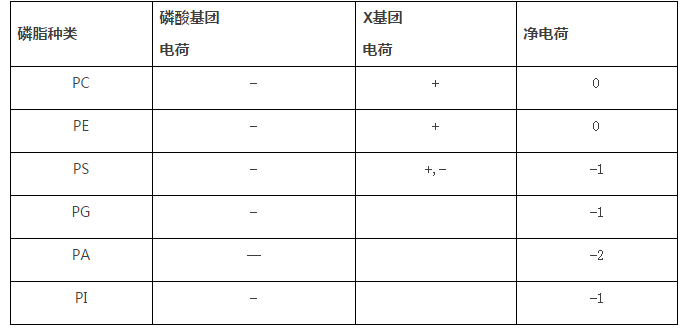 【AVT】制備脂質(zhì)體的關(guān)鍵磷脂PC以及使用最多的負(fù)電荷磷脂PG
