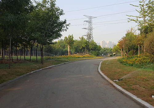 邯鄲市高鐵森林公園
