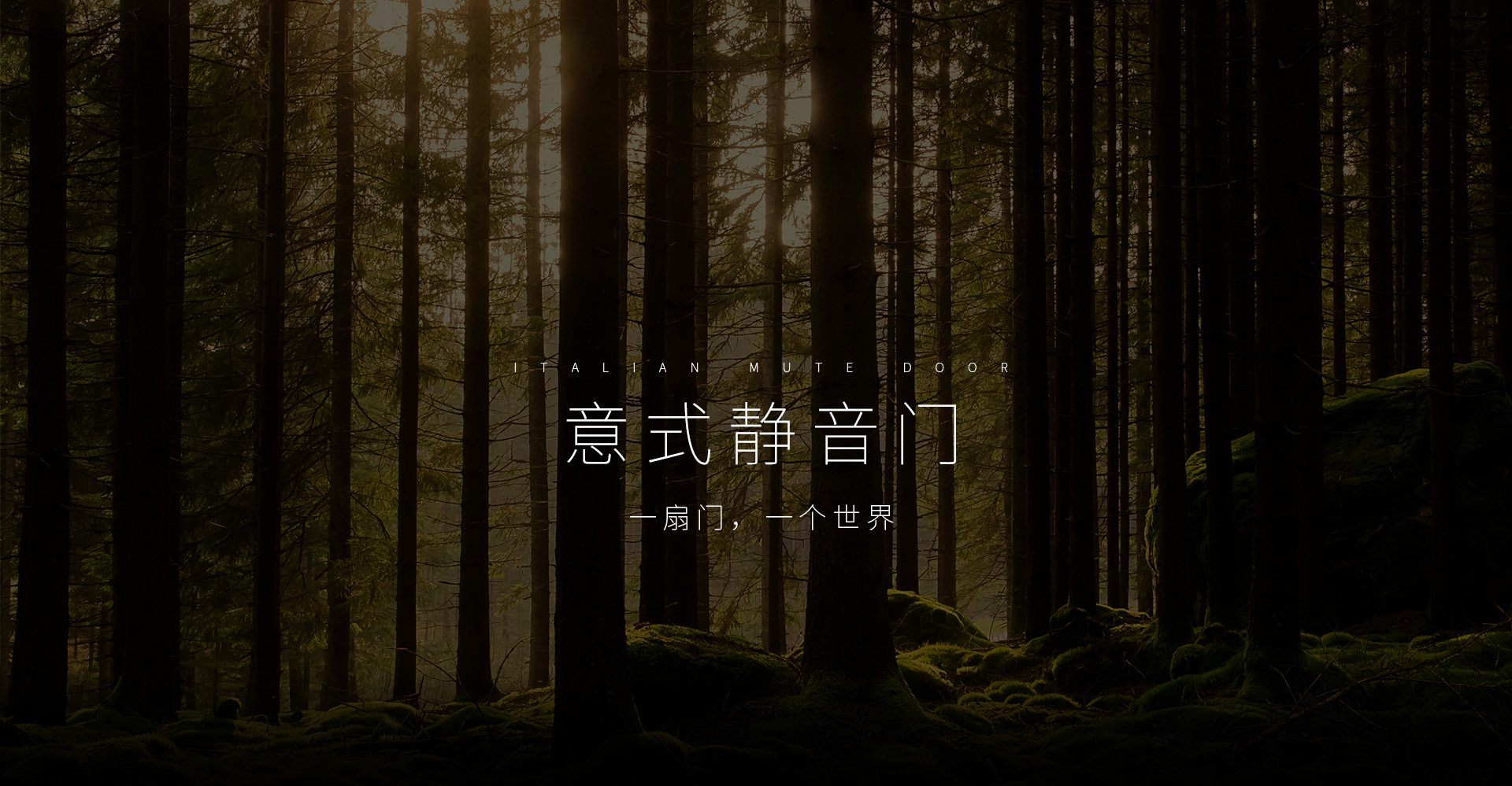 木門,靜音門,實木門
