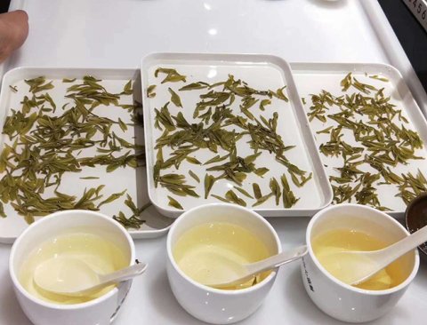 茶叶审评用具行业新闻-茶叶知识-上海清友堂实业有限公司