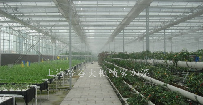 大棚噴霧加濕