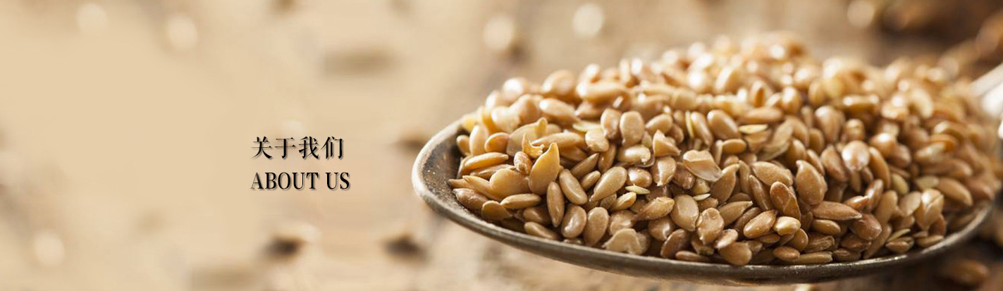 亚麻籽原味膳食粉有哪些食用方法