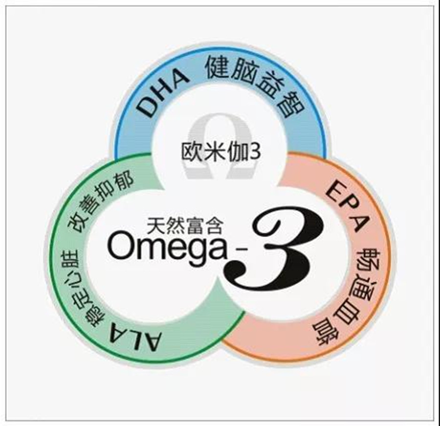 最權威的Omega-3知識圖解