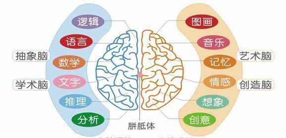 兒童大腦開發的重要意義