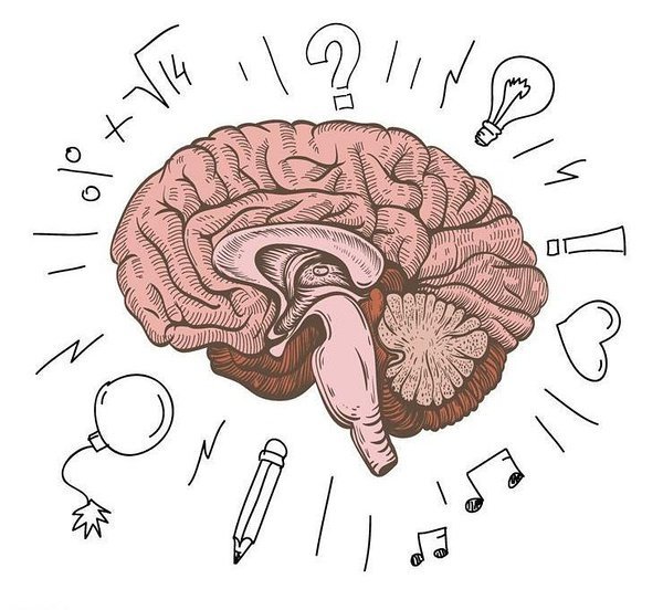 最強大腦選手告訴你：后天的腦力開發真的很重要！