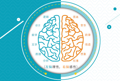 超右脑开发训练方法常用经验 超右脑开发训练方法常用经验