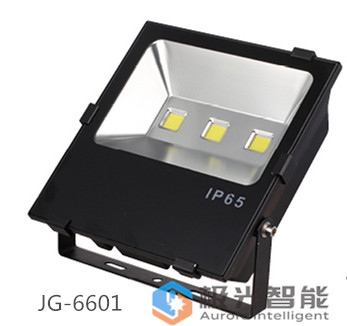 LED投光燈      JG-6601
