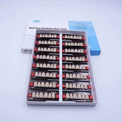 Composite ResinTeeth ResinSynthetic Resin Teeth For Sale