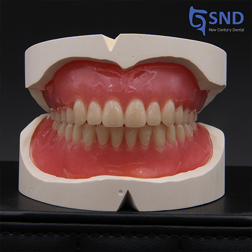 Composite ResinTeeth ResinSynthetic Resin Teeth For Sale