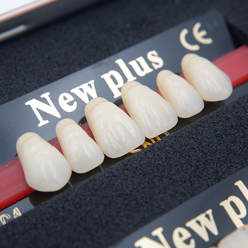 Resin Tooth Example Characteristics of synthetic resin teeth-composite teeth