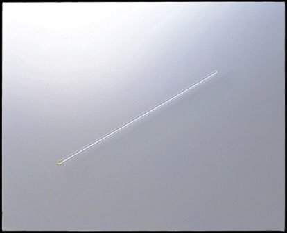 原装进口绵棒2φ-150