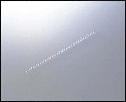 原装进口绵棒2φ-150