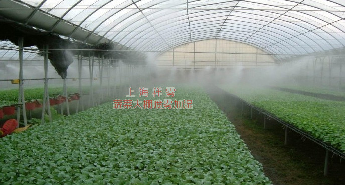 大棚噴霧加濕