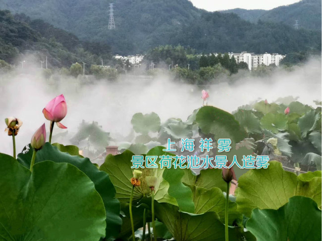 景觀噴霧 景觀噴霧