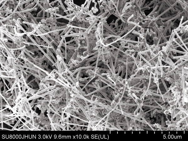 氟化纳米碳纤维