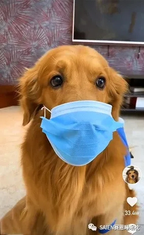 新利体育luck18·(中国)官方网站