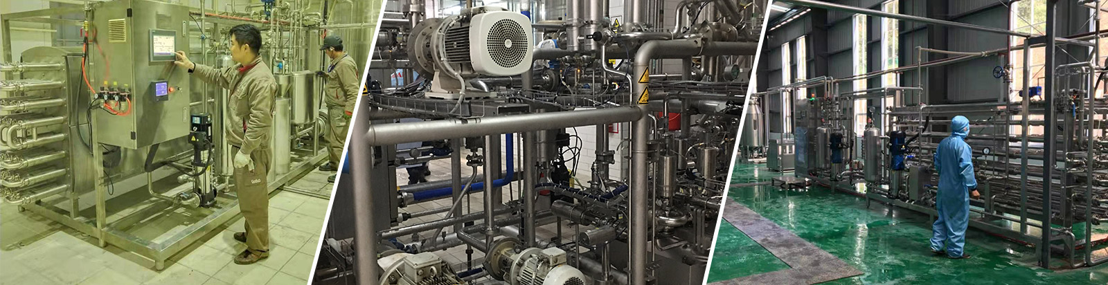 菠萝蜜视频app下载污