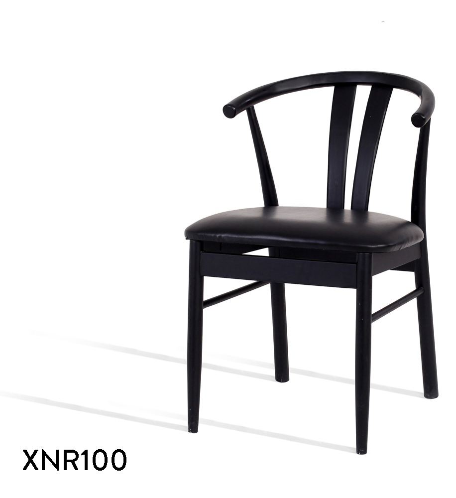 XNR100