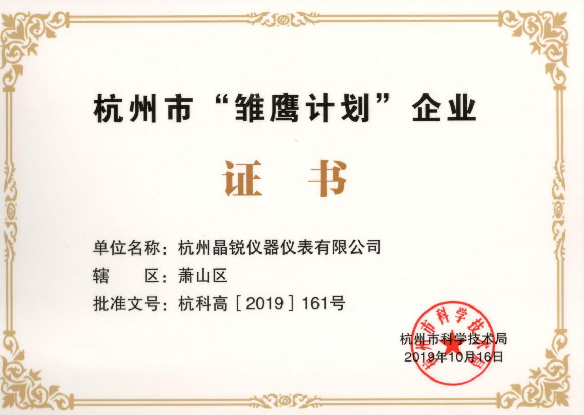 杭州市雛鷹計劃證書