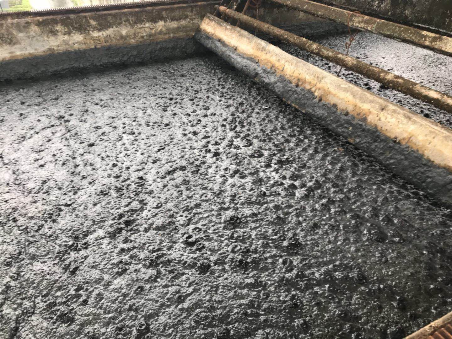 諾維信COD去除菌和氨氮去除菌助醫藥中間體污水廠重建生化系統