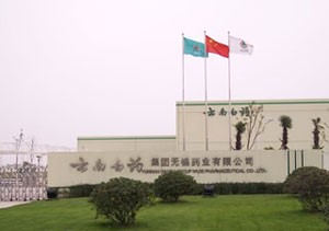 云南白藥制藥廠燈飾安裝工程