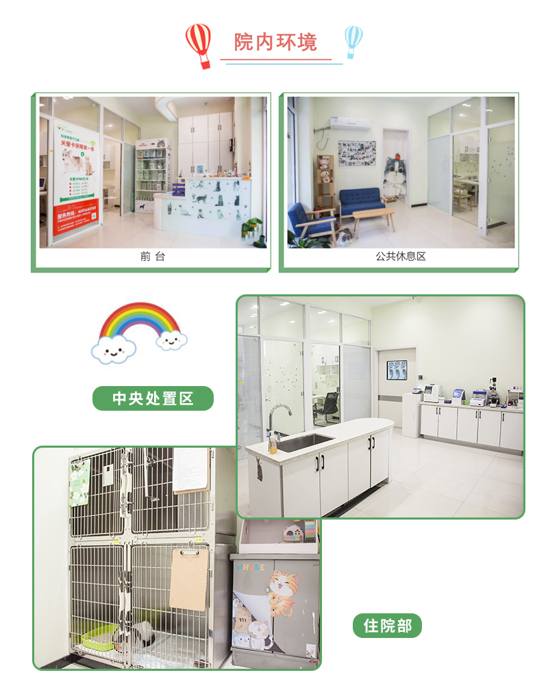 上海宠物医院